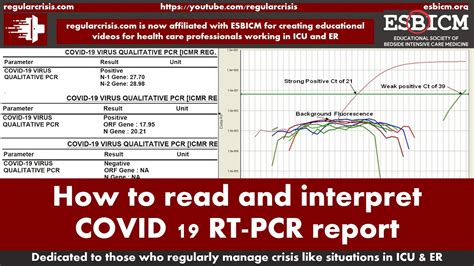 how to read pcr results
